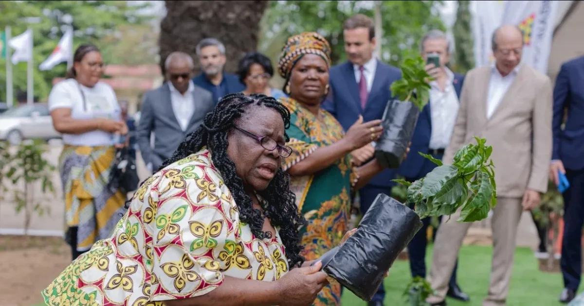 Angonabeiro promove homenagem às produtoras de Café