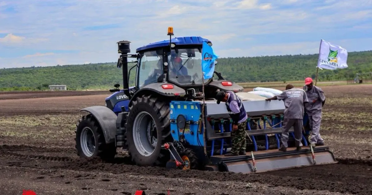 Fazenda agro-industrial do longa prevê produzir mais de cinco mil toneladas de arroz no presente ano agrícola