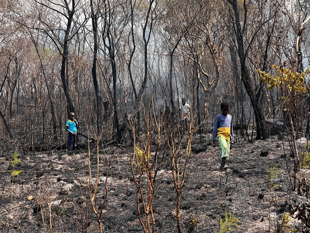 Angola em Chamas
