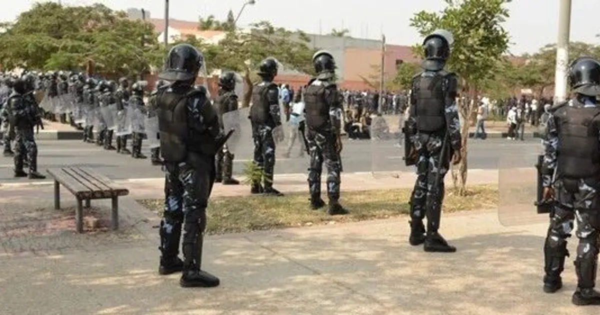 Negrão: Terrorismo por Decisão Judicial