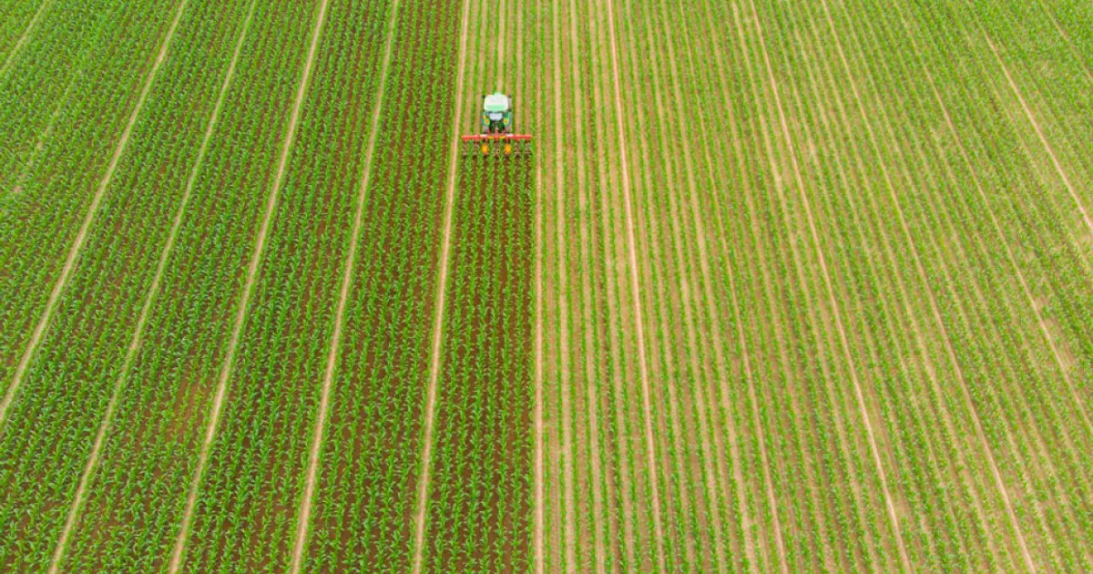 Brasil e Nigéria assinam acordo de cooperação agrícola de 860 milhões de euros