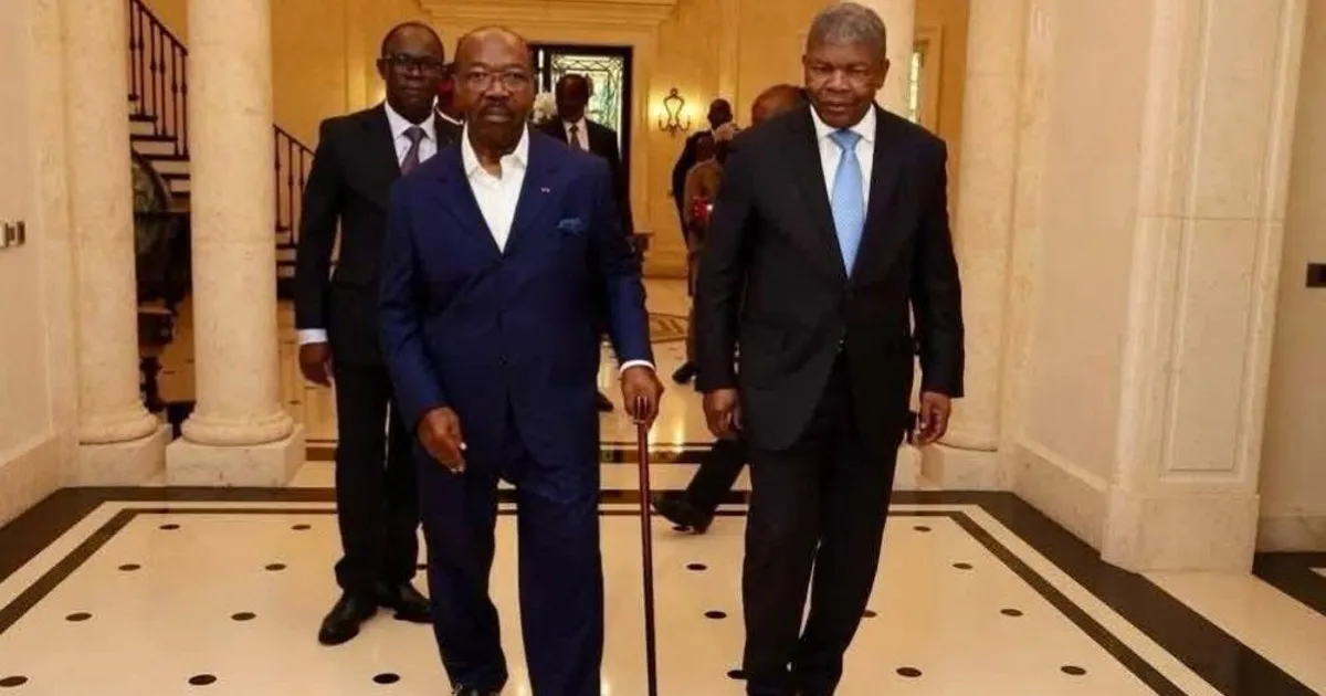 Acolhimento de Ali Bongo provoca debates em Angola e no Gabão
