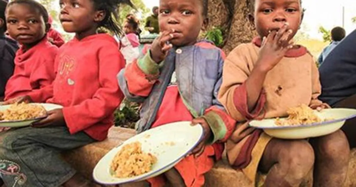 Relatório SOFI 2025: Mais de 27 milhões de angolanos não tiveram acesso a alimentação saudável em 2024