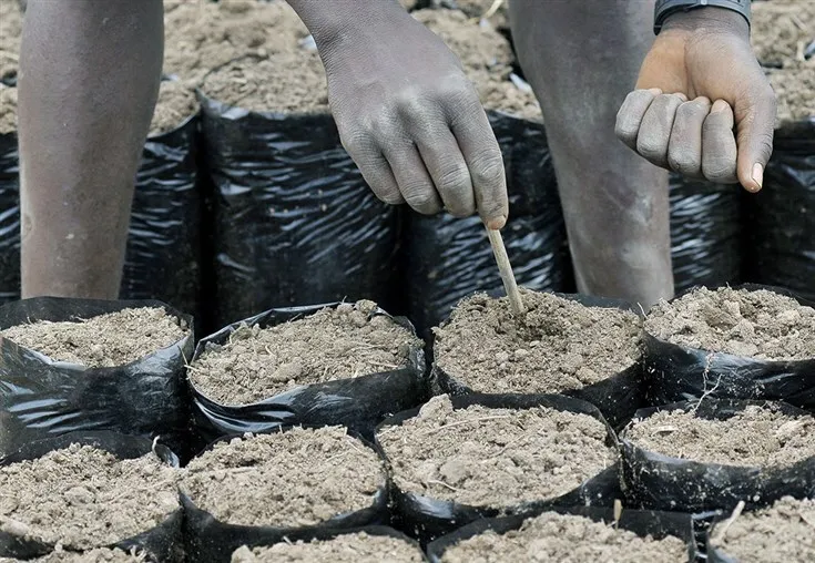 BAD vai emprestar 210,4 milhões USD a Angola para impulsionar o sector agrícola na região leste, projecto que promete criar 7.500 empregos directos