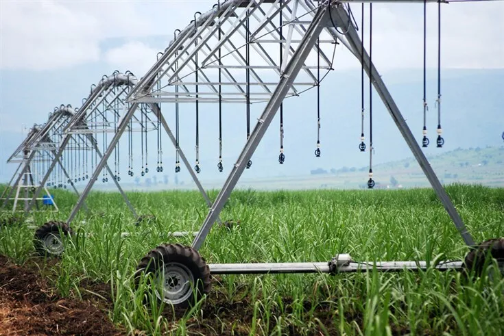 Angola recorre a empréstimo de 100 milhões de euros para financiar agricultura de regadio