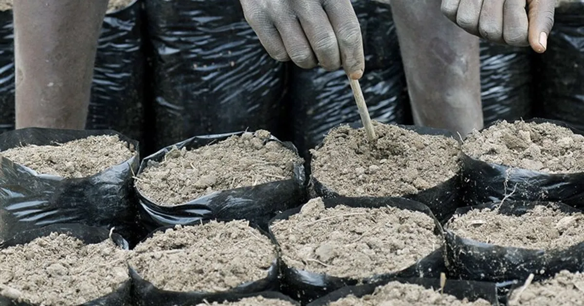 Estado desembolsa mais 789 mil euros para o Projecto de Apoio à Formação Agrícola e Rural, desta vez para consultoria