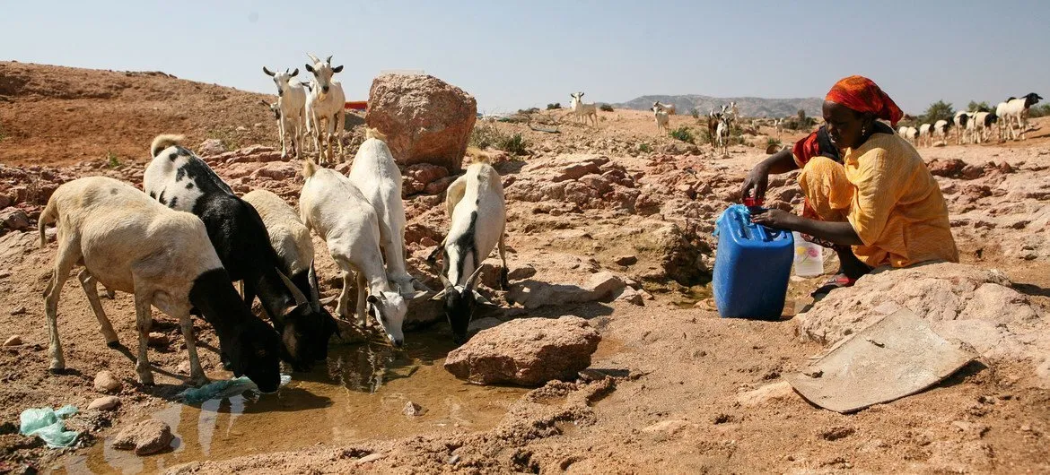 Clima: Super "El Niño" ameaça directamente o sul de Angola – Continente africano é dos mais vulneráveis a este raro fenómeno climático