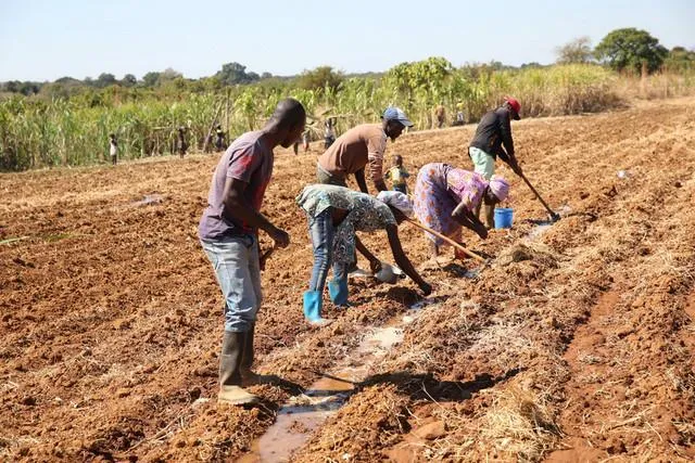 Governo acaba com distribuição gratuita de insumos agrícolas