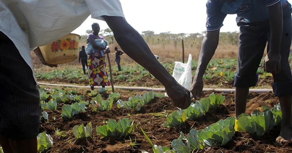 Governo assina empréstimo de 38,5 milhões USD junto do FIDA para apoiar agricultura familiar