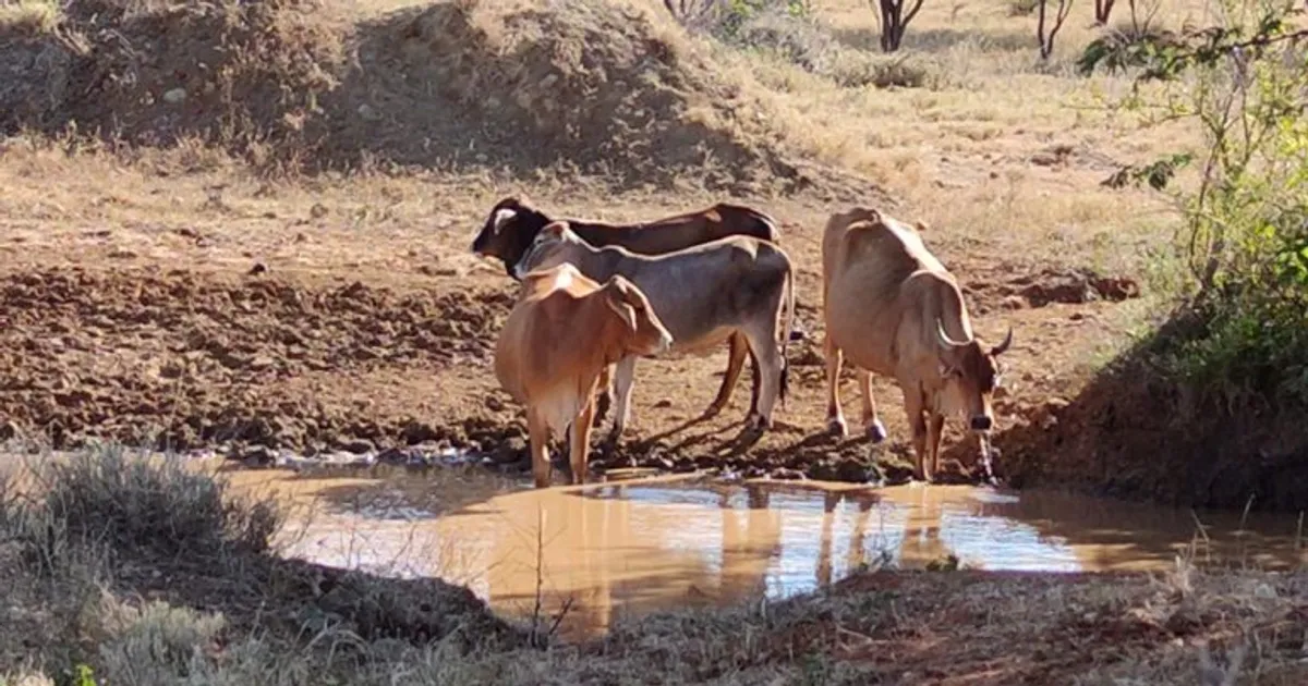 Governo do Namibe lança campanha para incentivar regresso de milhares de pessoas às aldeias depois do conflito interétnico que provocou 12 mortos
