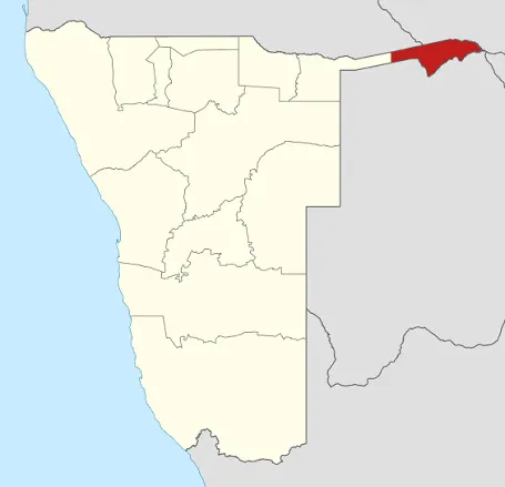 Surto de febre aftosa na Namíbia atinge Zambezi/Caprivi e leva Angola a reforçar alerta e proibição de entrada de animais