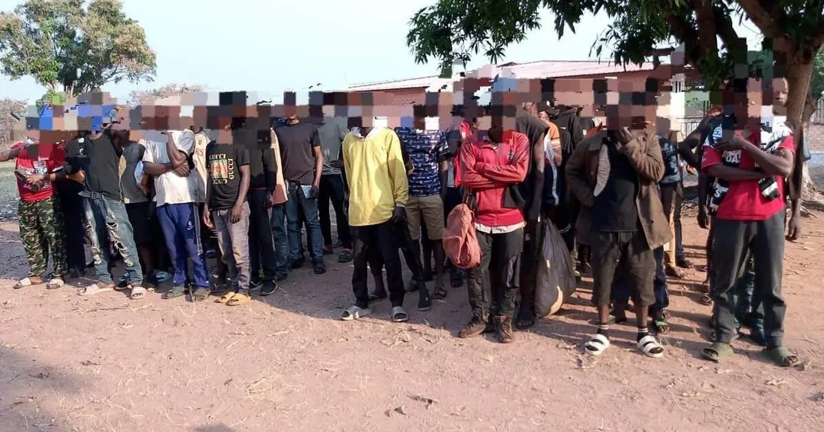 Detidos mais de 200 cidadãos da RDC que tentavam instalar-se ilegalmente na Lunda-Norte e em Cabinda