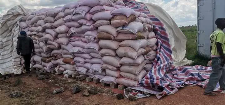 SIC apreende mais de oito toneladas de produtos alimentares deteriorados numa fazenda em Malanje