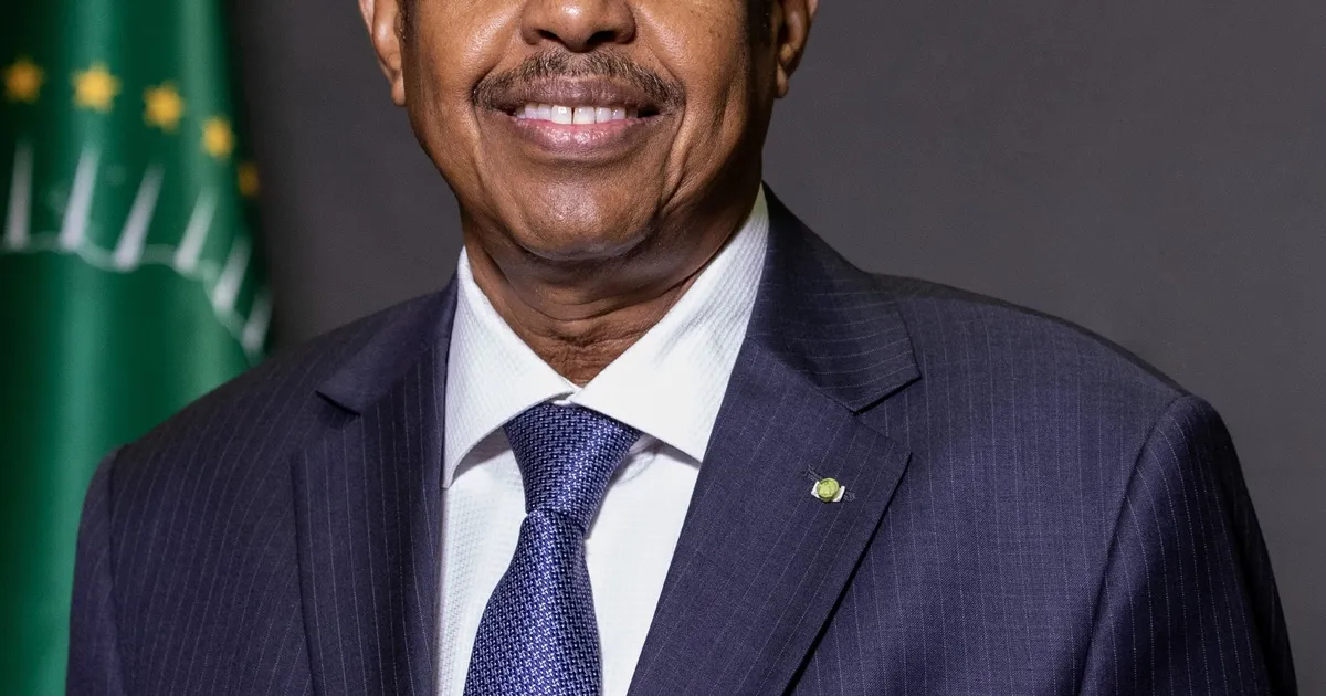 UE/África: Presidente da Comissão Africana quer mais transparência no acesso ao capital