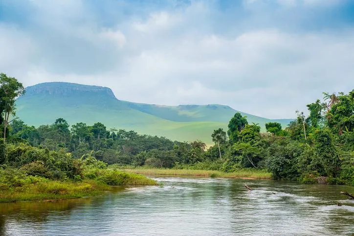 Mundial 2026: "Leopardos" e "Três Leões" em expedição à procura dos oitavos