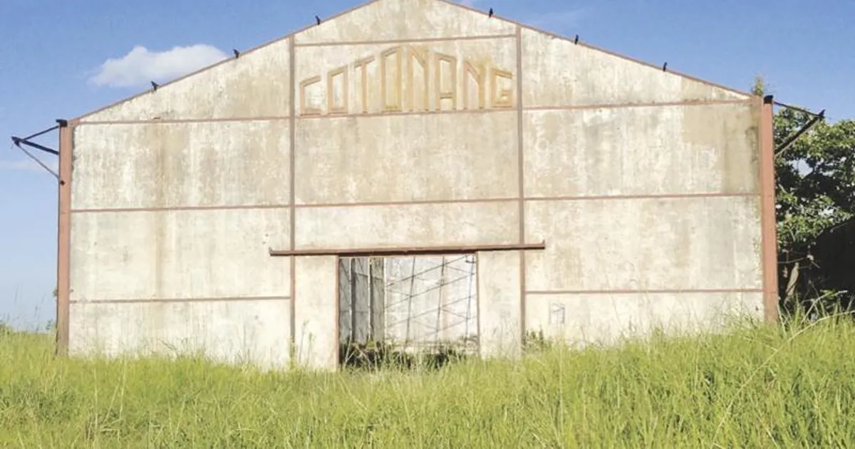 Cotonang: Brilho do 'ouro branco' em Malanje apagado pelos escombros