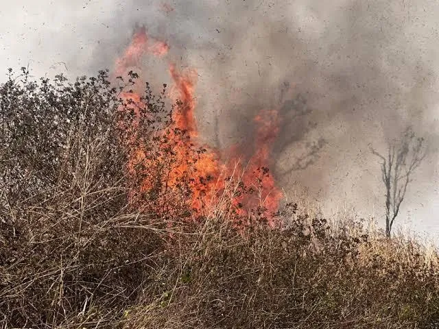 Huíla: Duas crianças de 11 meses morrem em queimada desautorizada