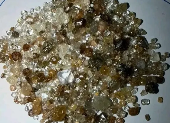 Detidos guineenses e mauritanianos em posse ilegal de 759 diamantes