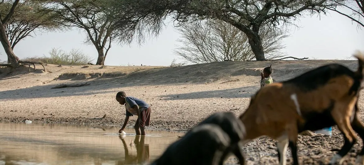 Clima: "Super El Niño" vai ser muito forte e muito longo, avisa agência meteorológica da ONU – África Austral também está no caminho desta "criança" hiperactiva