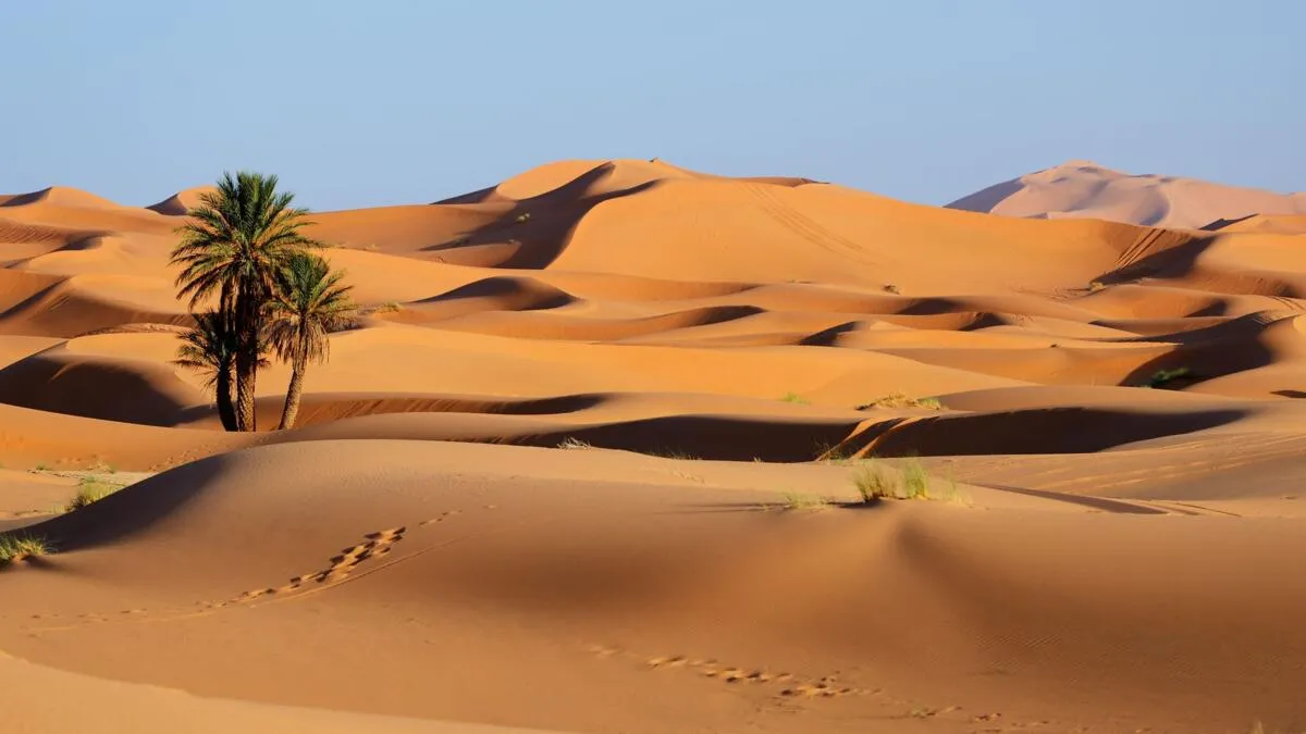 África: "Donald J. Trump Highway" – Presidente dos EUA quer o seu nome escrito a alcatrão sobre o deserto entre Marrocos e o Saara Ocidental