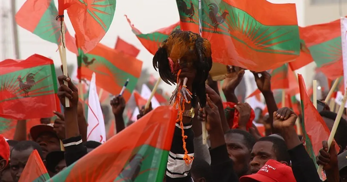 Eleições na UNITA: Comissão de mandatos avalia candidaturas de Adalberto Costa Júnior e Rafael Savimbi – "Galo Negro" já começou a eleger delegados aos congresso