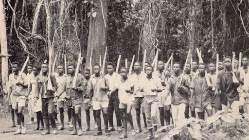 Icolo e Bengo acolhe 15 de Março, dia da Expansão da Luta Armada de Libertação Nacional - Partidos da oposição insistem que data deve evoluir para feriado nacional