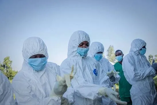 Ébola/RDC: Epidemia parece cada vez mais imparável