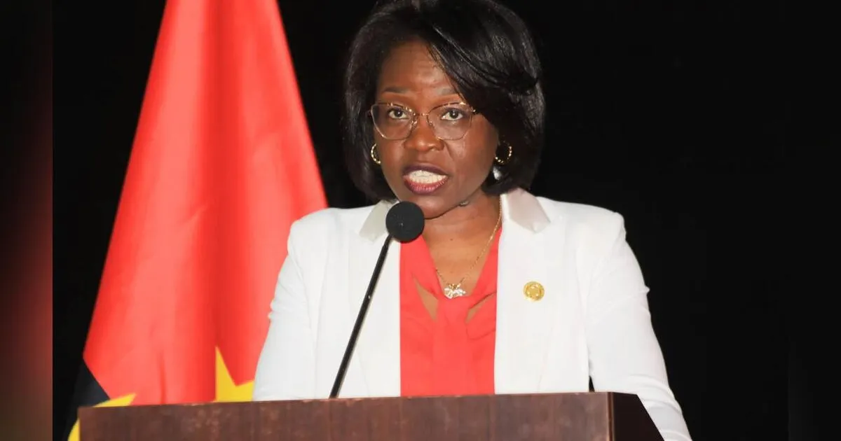 Presidente do Constitucional reconhece que em Angola existem processos judiciais que tramitam há mais de 10 anos sem qualquer despacho por parte dos juízes