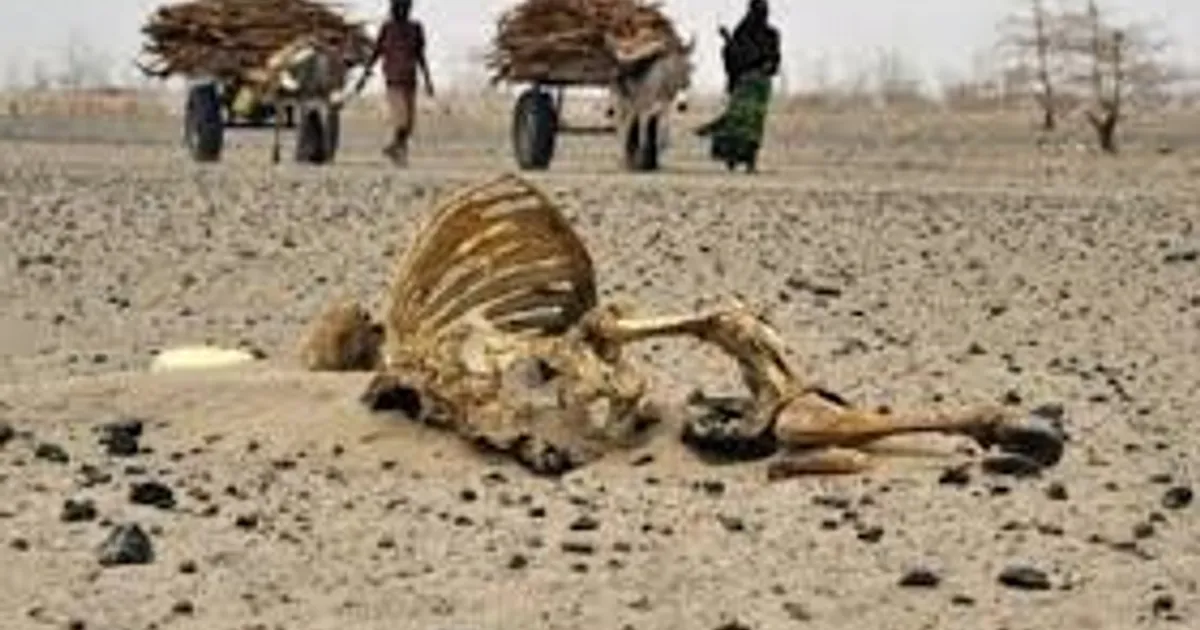 PRA-JÁ Servir Angola lamenta incapacidade das autoridades do Namibe para impedir violência entre comunidades