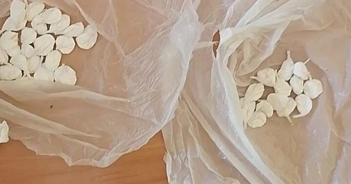 Huambo: PN detém em flagrante traficante armado a vender cocaína