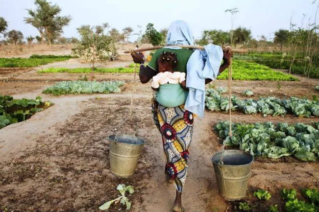 Abertura do ano agrícola 2026/2027 vai decorrer este mês no Cunene