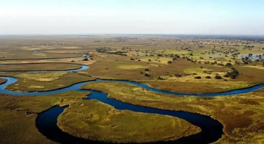 Apenas 82 vigilantes para 20 mil km² de floresta na maior zona húmida do País, diz MINAMB