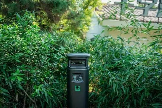 China testa projecto-piloto em parque para reduzir presença de mosquitos