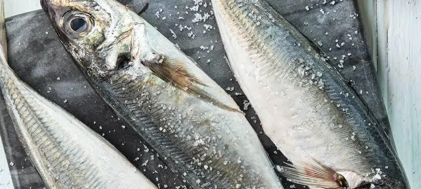 Veda do carapau começa esta quarta-feira no território nacional