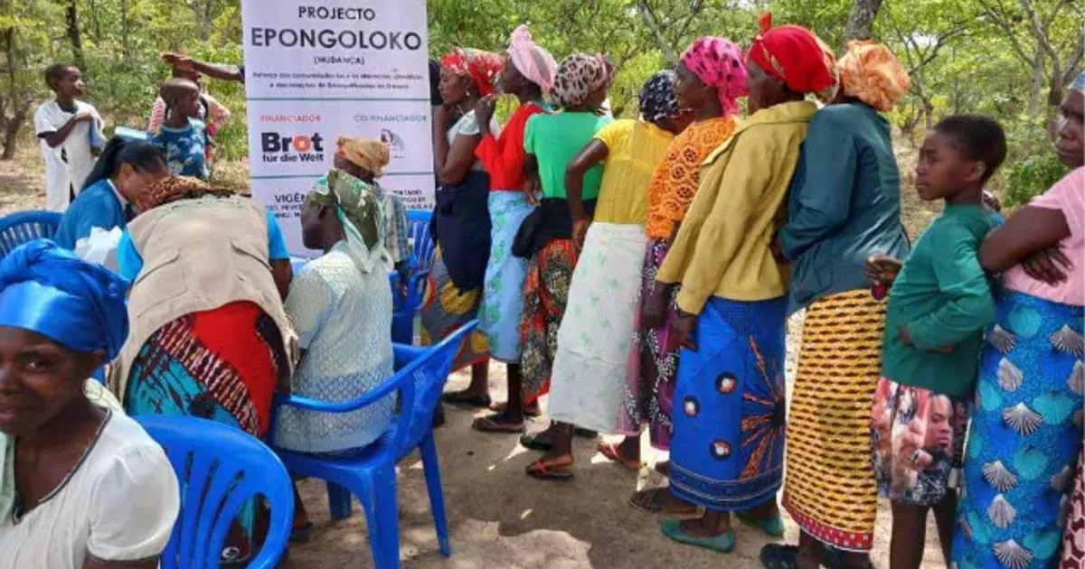 Projecto comunitário distribui mais de dois mil limoeiros no toco