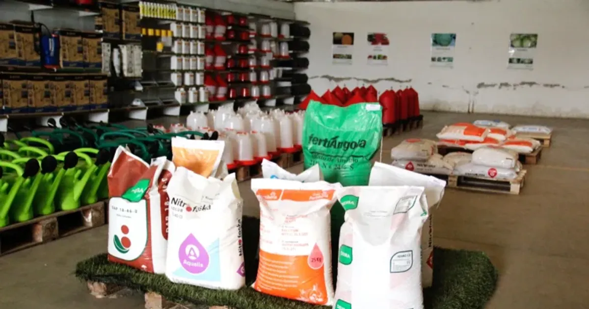 Horticultores do Quipungo ganham 15 toneladas de sementes