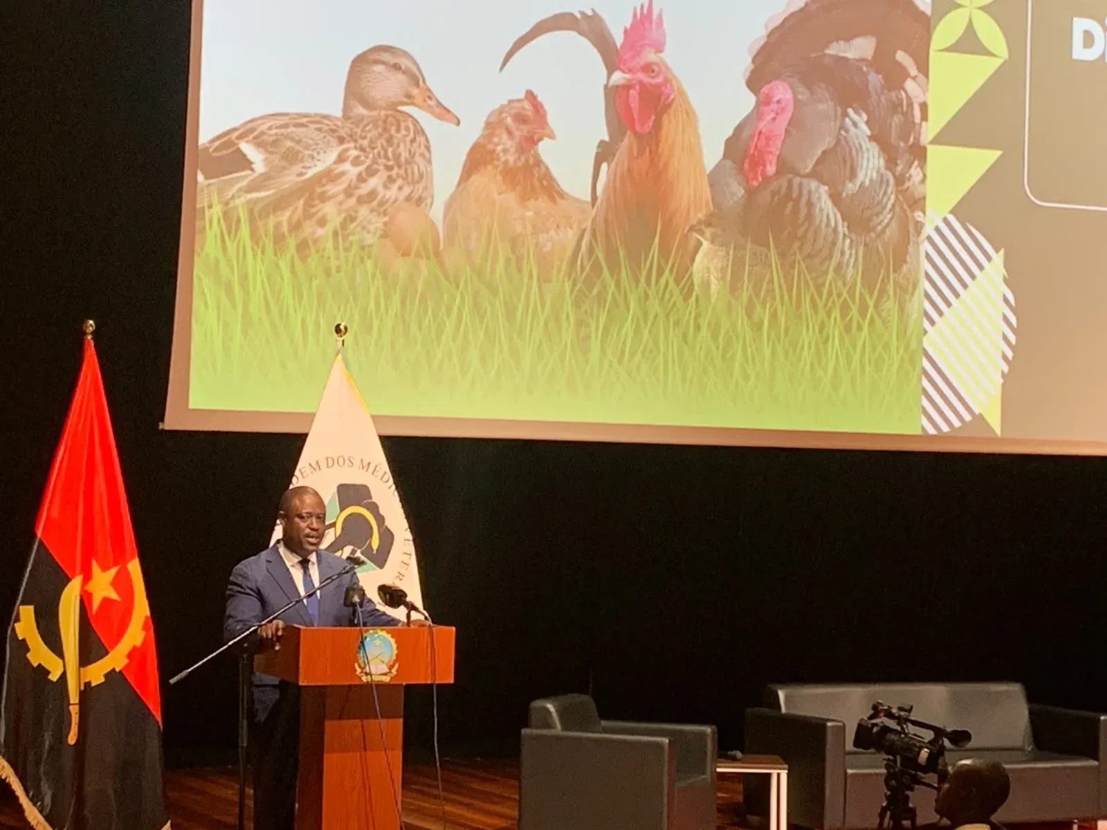 Huambo defende expansão da avicultura para reduzir importações de frango e ovos