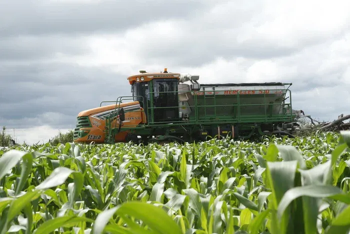 Agricultura contribui com mais de 590 mil milhões de kwanzas no PIB