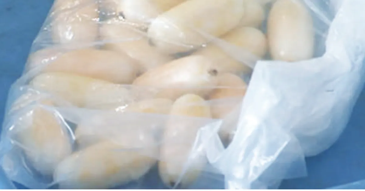 Cidadã brasileira detida por tentativa de introduzir cerca de 60 cápsulas de cocaína em Angola