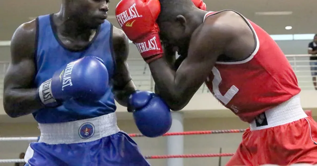 Boxe: Angola de “pedra e cal” nos 50 anos da festa da Independência