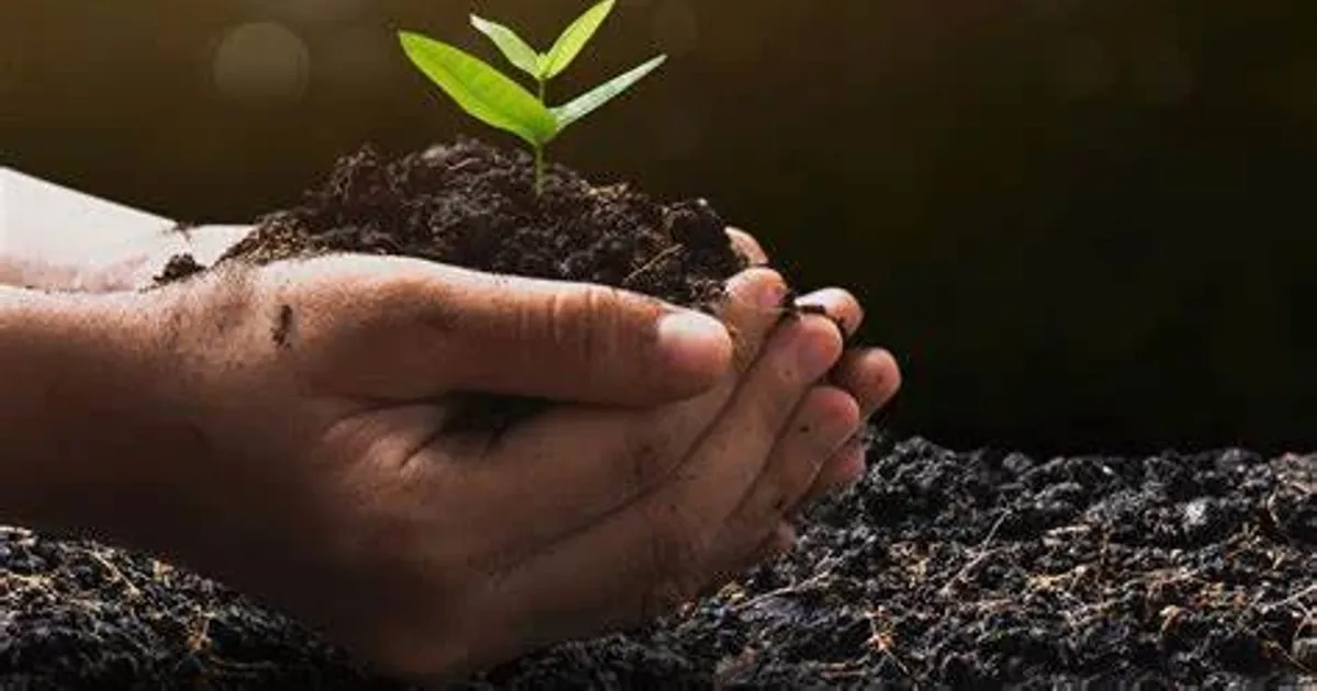 GPL reitera compromisso com o meio ambiente em data de comemoração