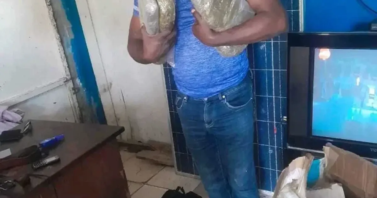 Detido cidadão por posse de 39 quilos de liamba
