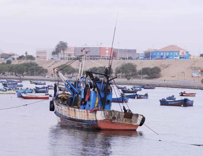 Aberta época de pesca do carapau depois de 60 dias de veda