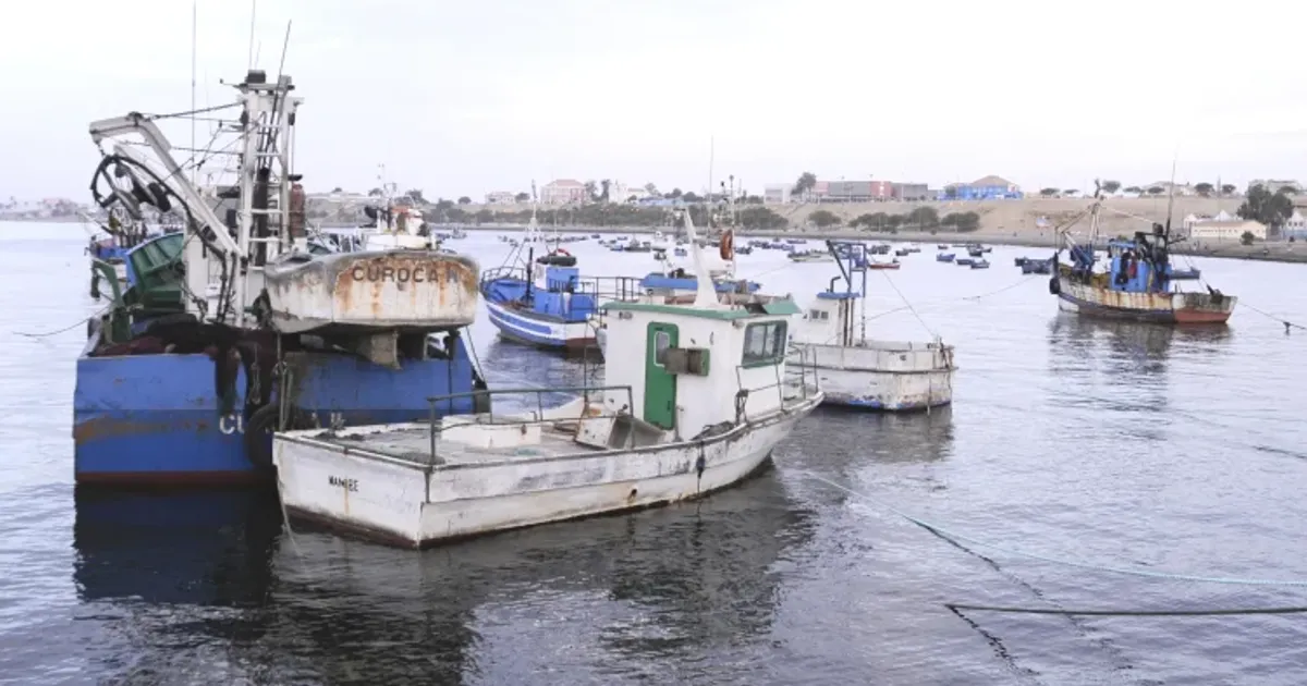 Empresas de pesca à deriva com “colapso” dos recursos marinhos