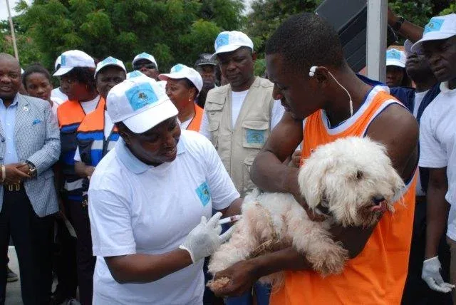 Lunda-Norte arranca campanha de vacinação anti-rábica com mais de oito mil doses