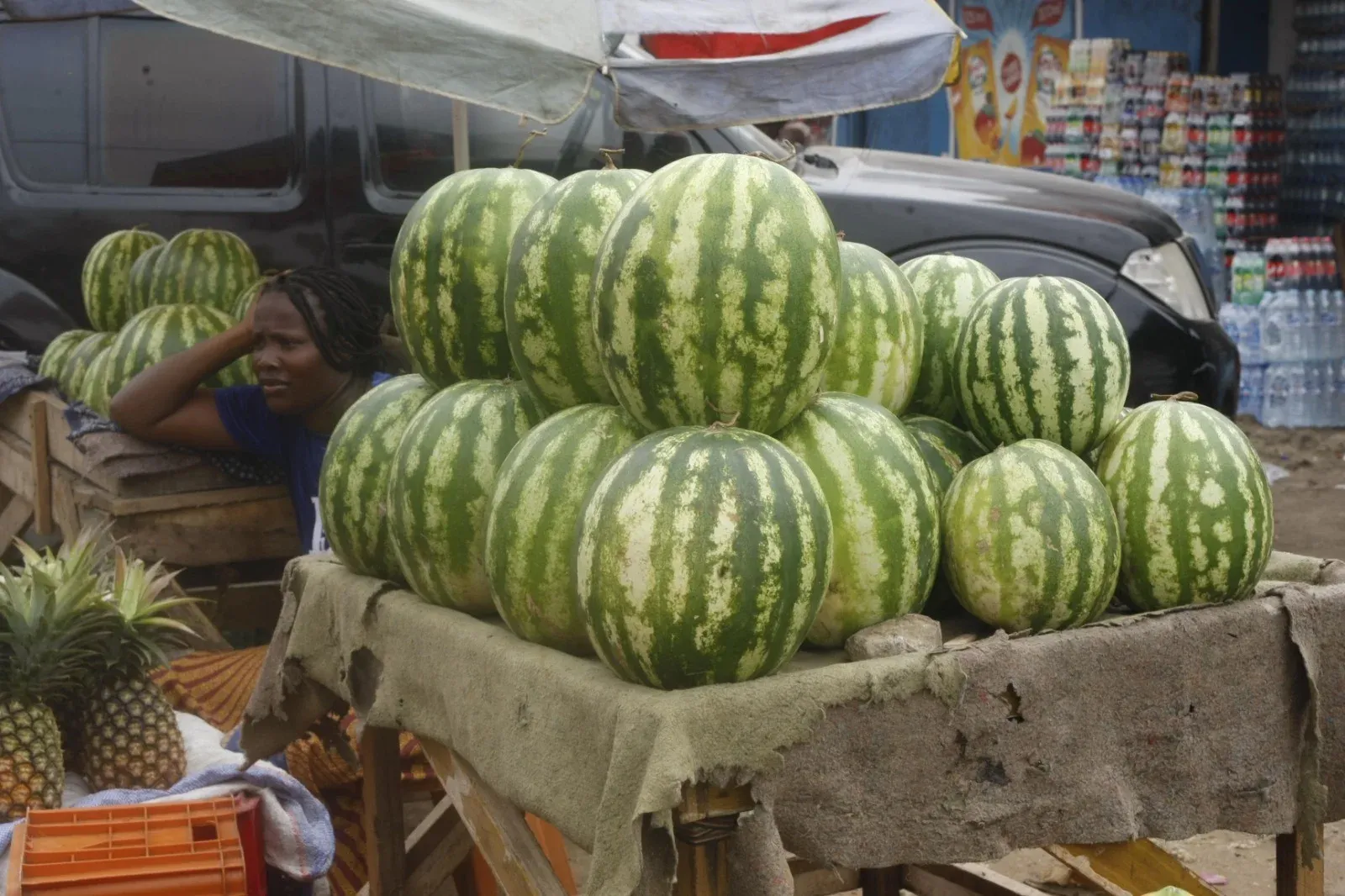 Cerca de três milhões de toneladas de fruta perdem-se anualmente no campo