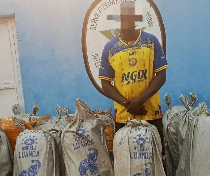 Detido condutor de camião em posse de 16 sacos de 150 kg de liamba na Lunda-Norte
