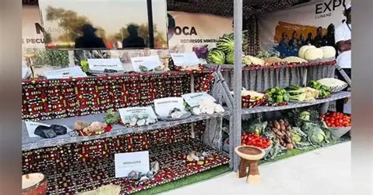 Expo-Cunene prevê volume de negócios acima dos 300 milhões de Kwanzas