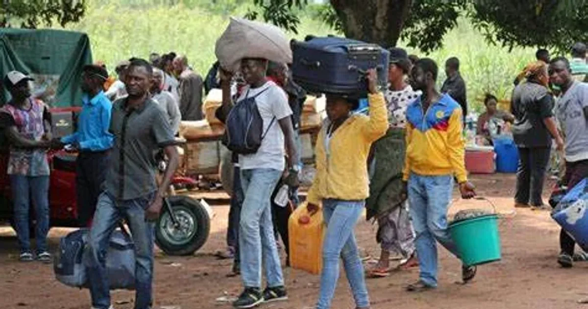 Polícia Nacional “trava” entrada ilegal de mais de 200 imigrantes nas últimas 24 horas