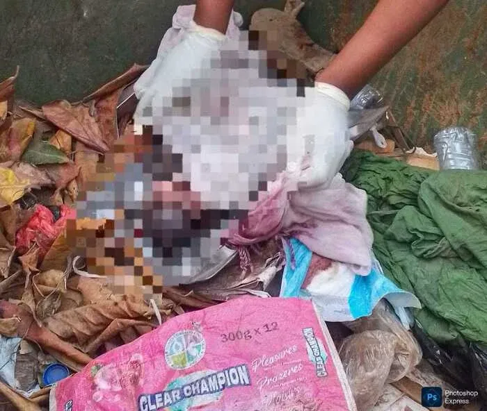 Recém-nascido encontrado sem vida num contentor de lixo no Rangel